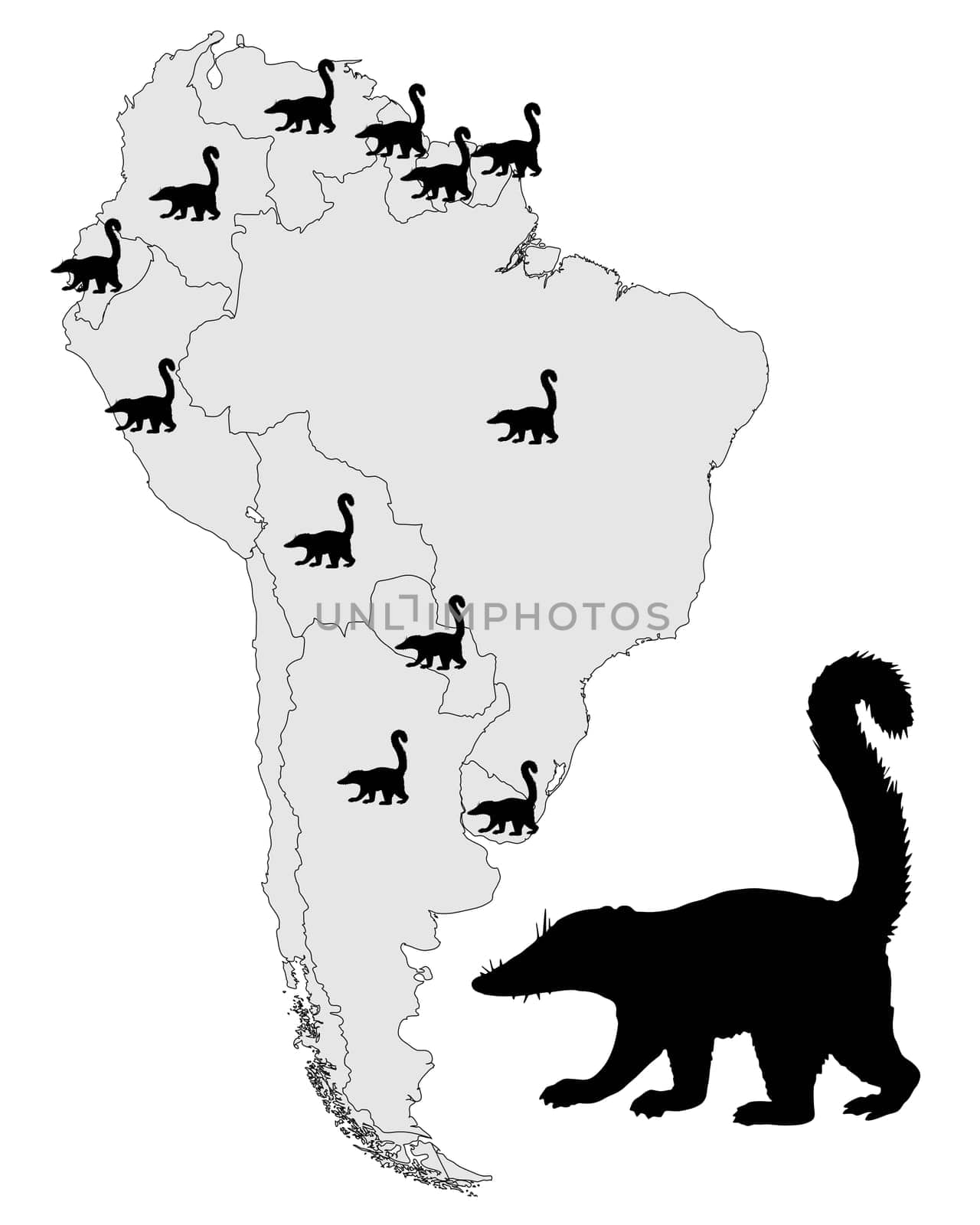 Coati distribution map