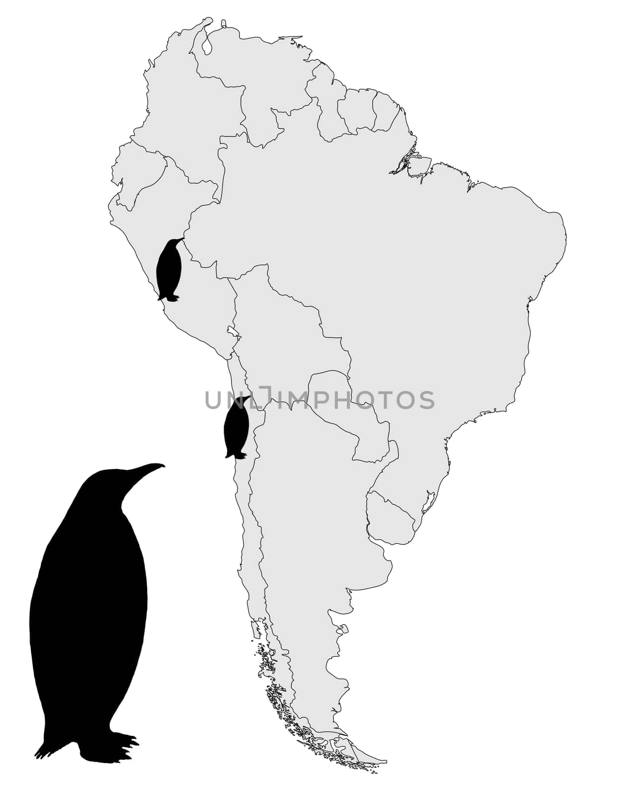 Humboldt Penguin Distribution Map