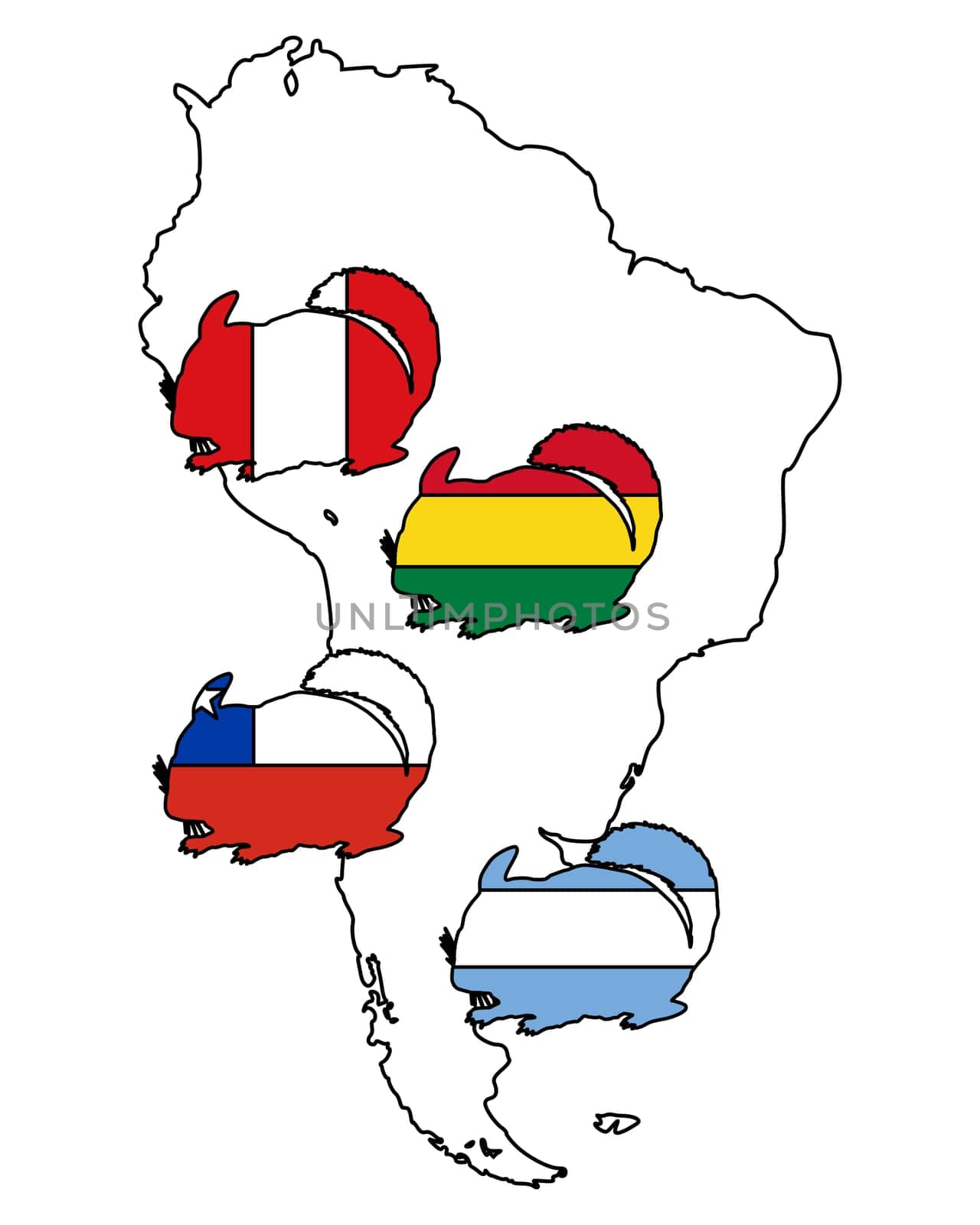 Chinchilla South America