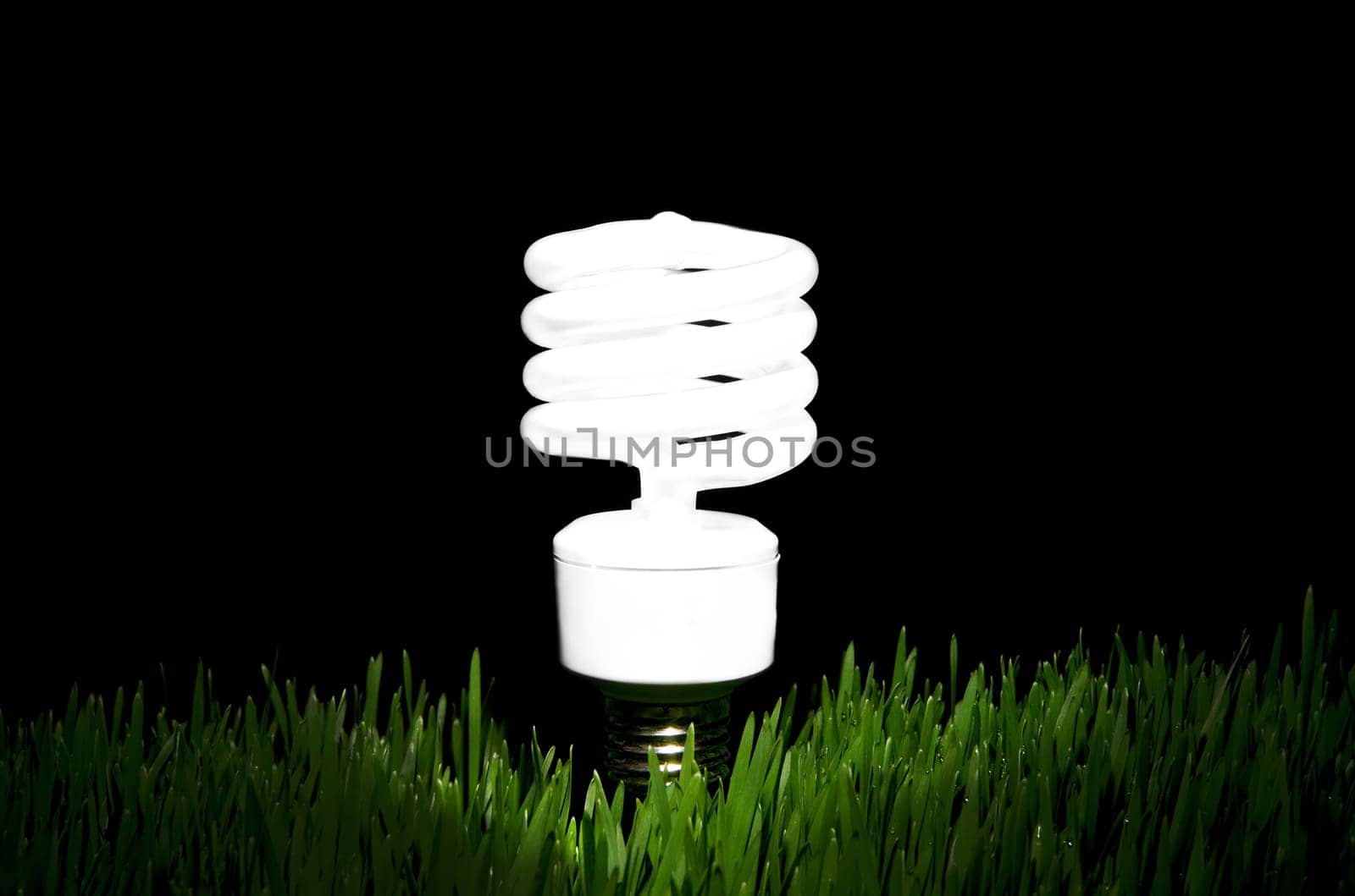 Image of an energy efficient light bulb amidst green grass with black background