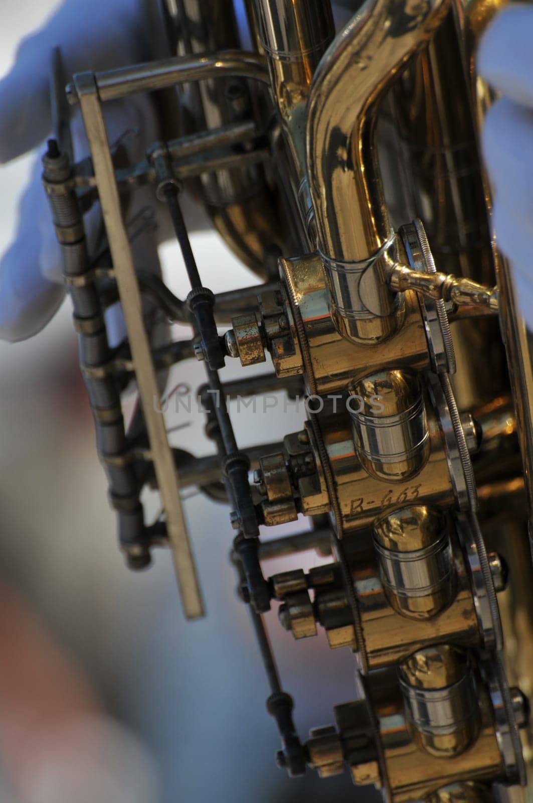 Musician with Tuba