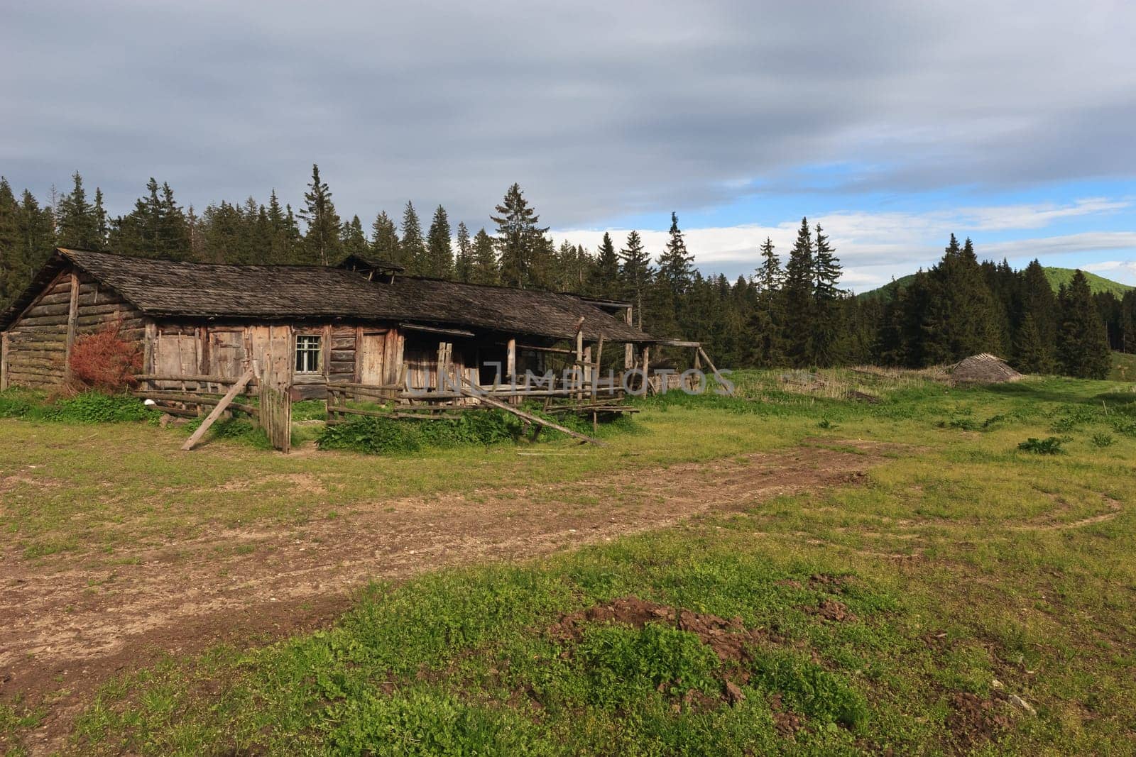 an abandoned house near a forest of trees