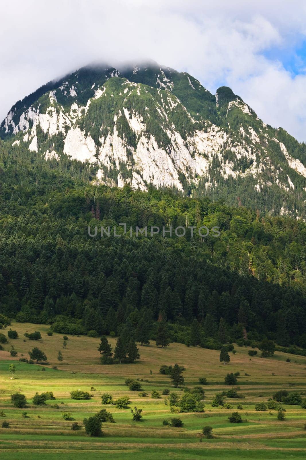 a green pasture near Piatra Craiului Mountains, Romania