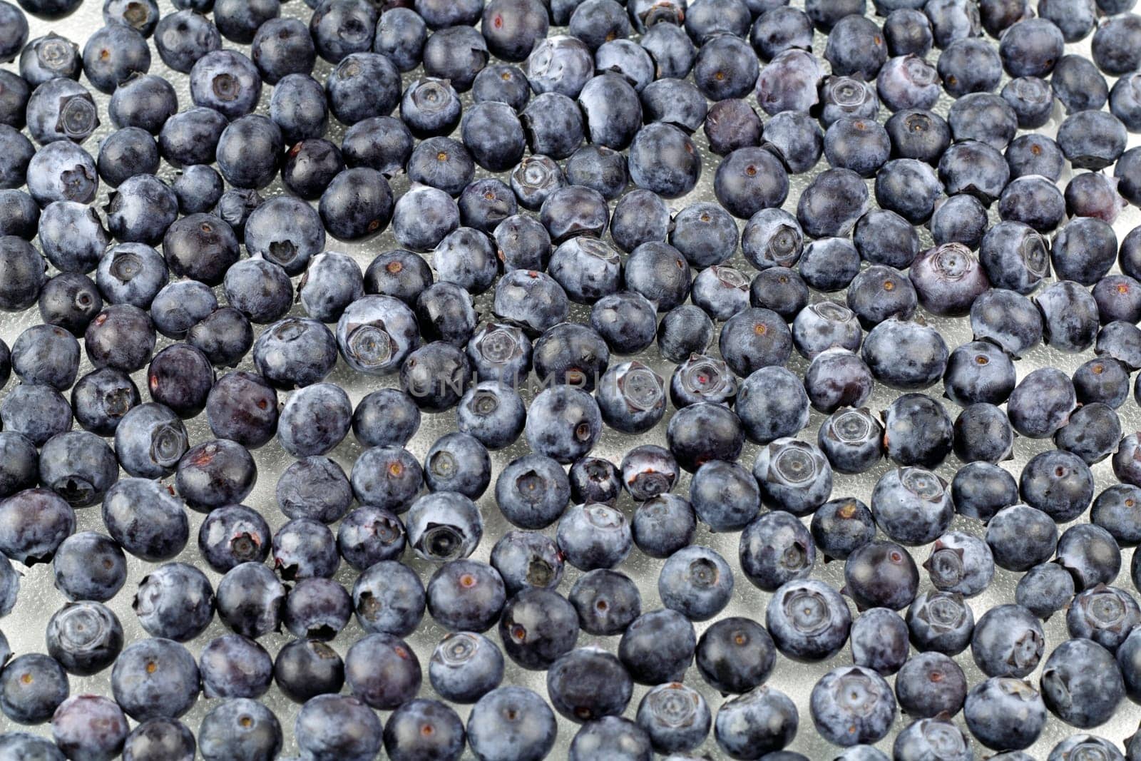 Layer of fresh, organic blueberries on a layer of flat crystalized glass.