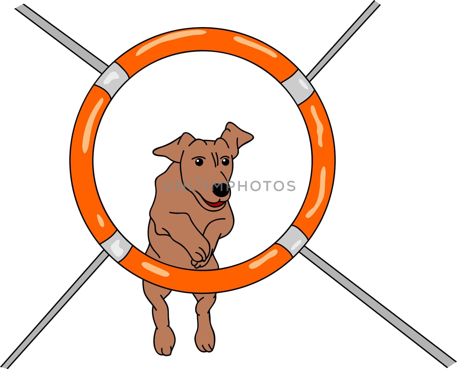 vector - dog agility , isolated on background