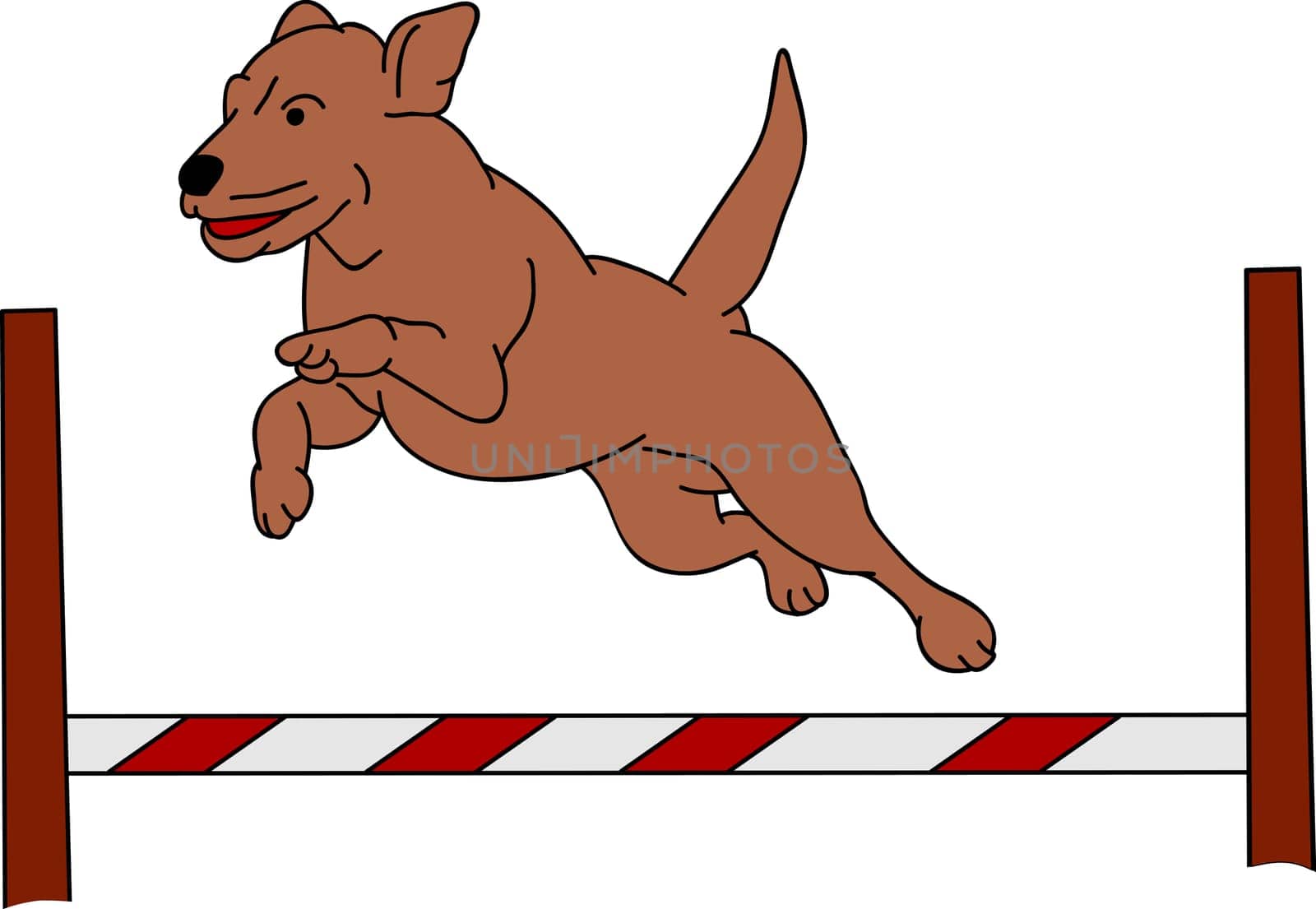 vector - dog agility , isolated on background