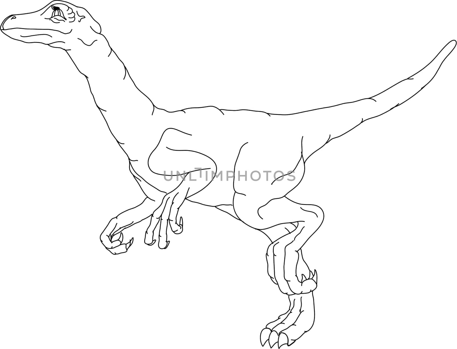 vector - dino isolated on background