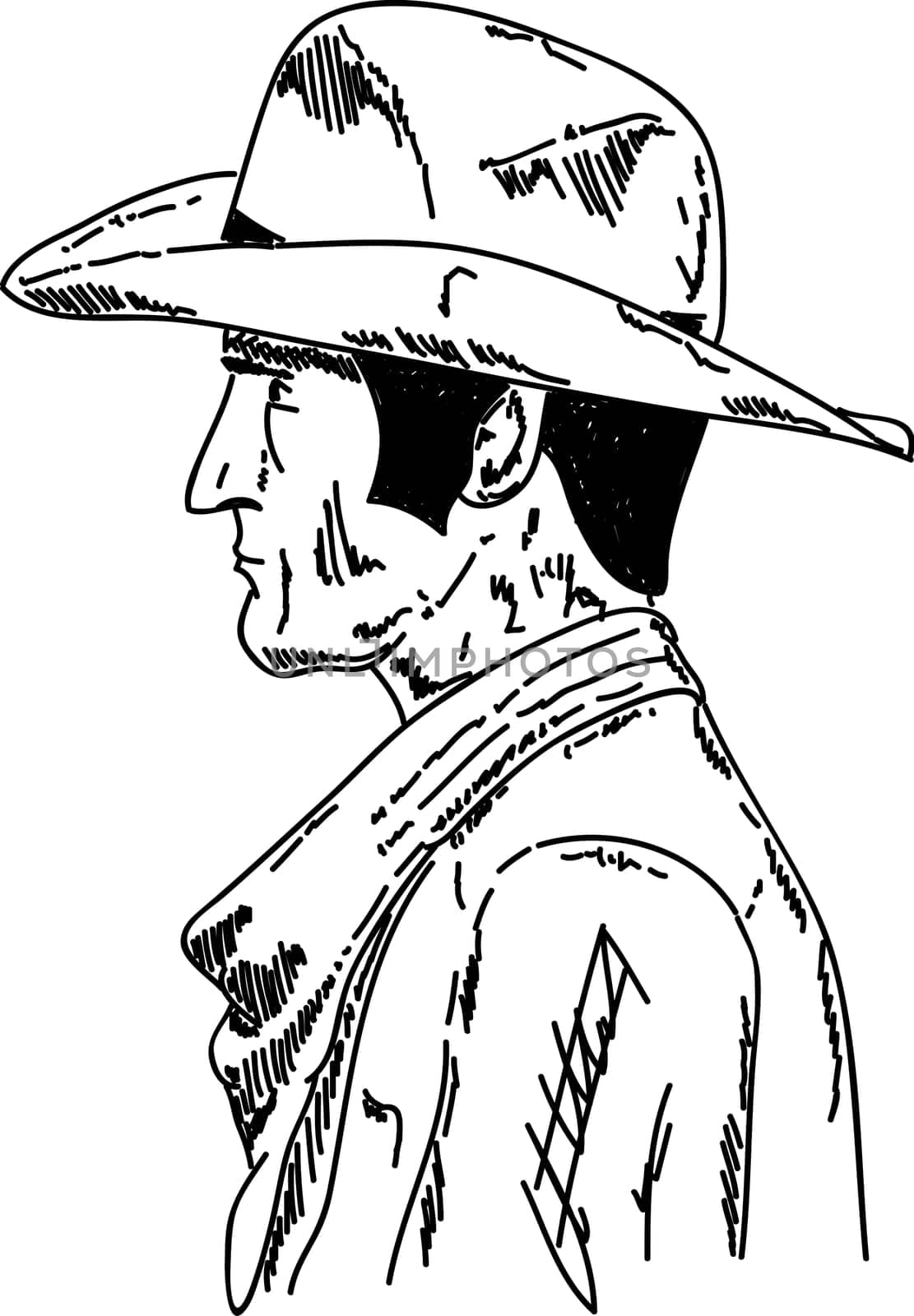 vector - cowboy with hat - portrait isoalated
