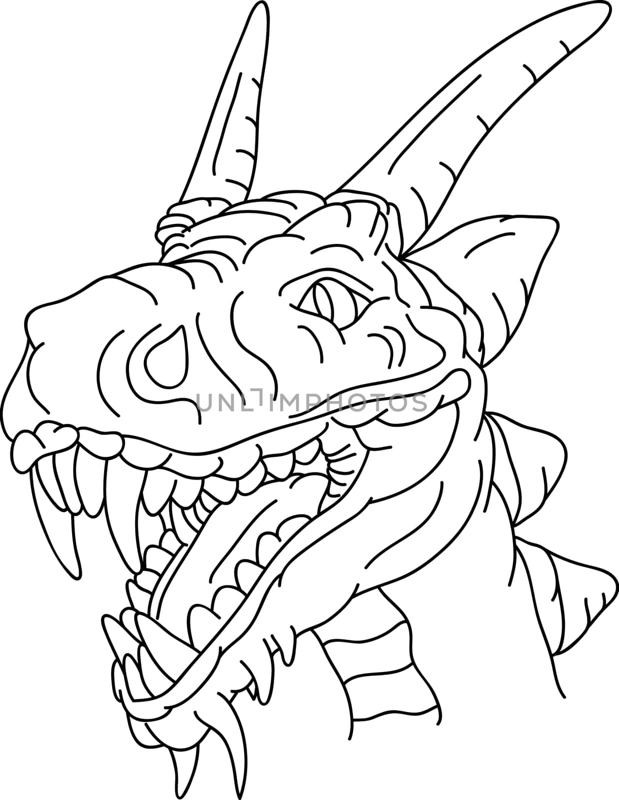 vector - dragon head isolated on background