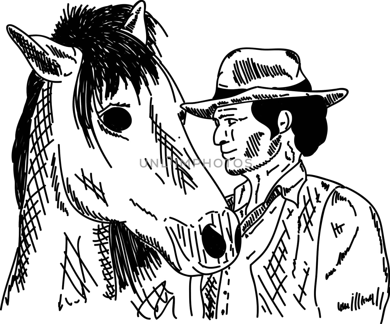 vector - portrait - cowboy with horse , isolated