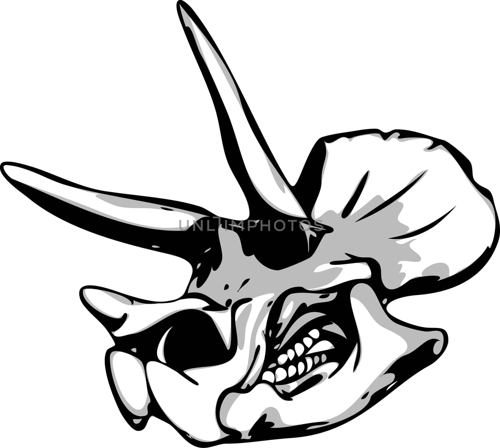 vector - Dinosaur Skull isolated on background