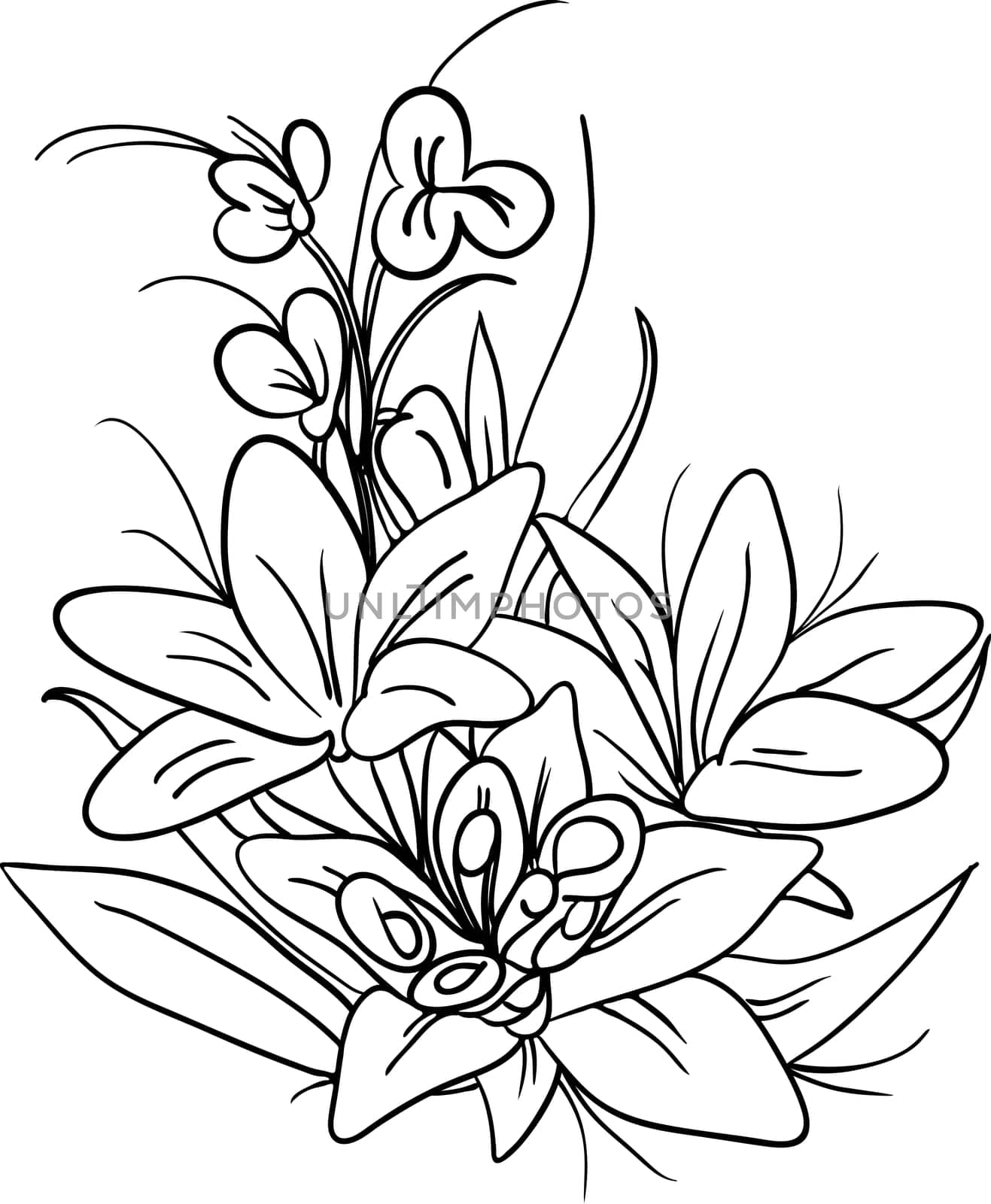 vector-the bouquet of lily flowers