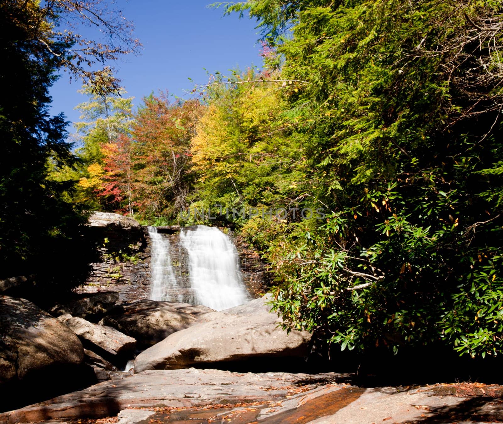Muddy Creek falls in Swallow Falls State Park in Maryland USA