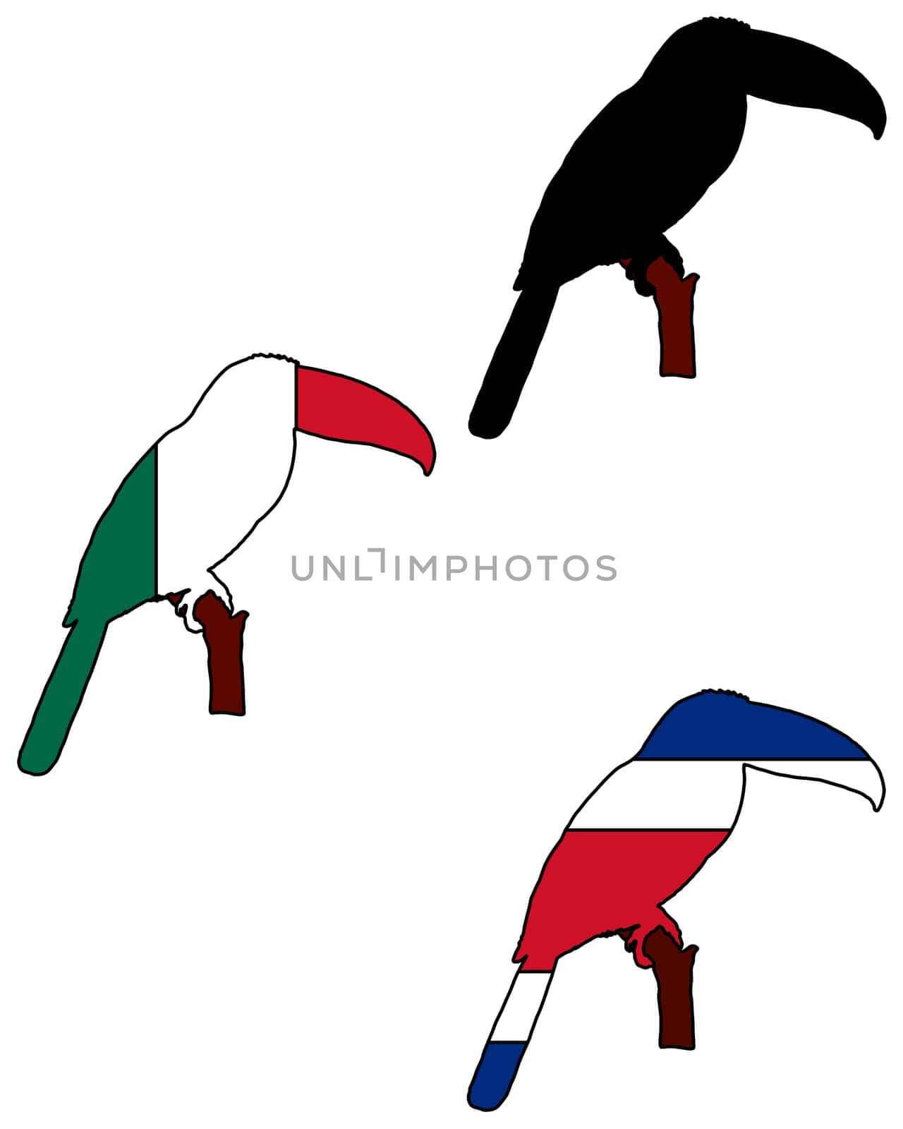 Toucan Flags