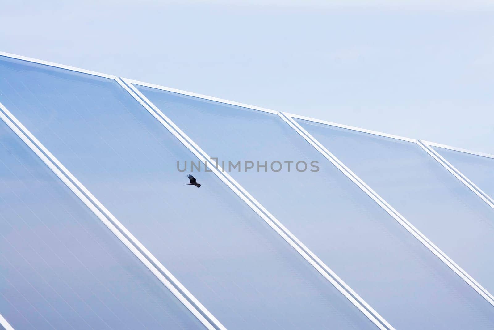 Environmentally conscious through solar technology