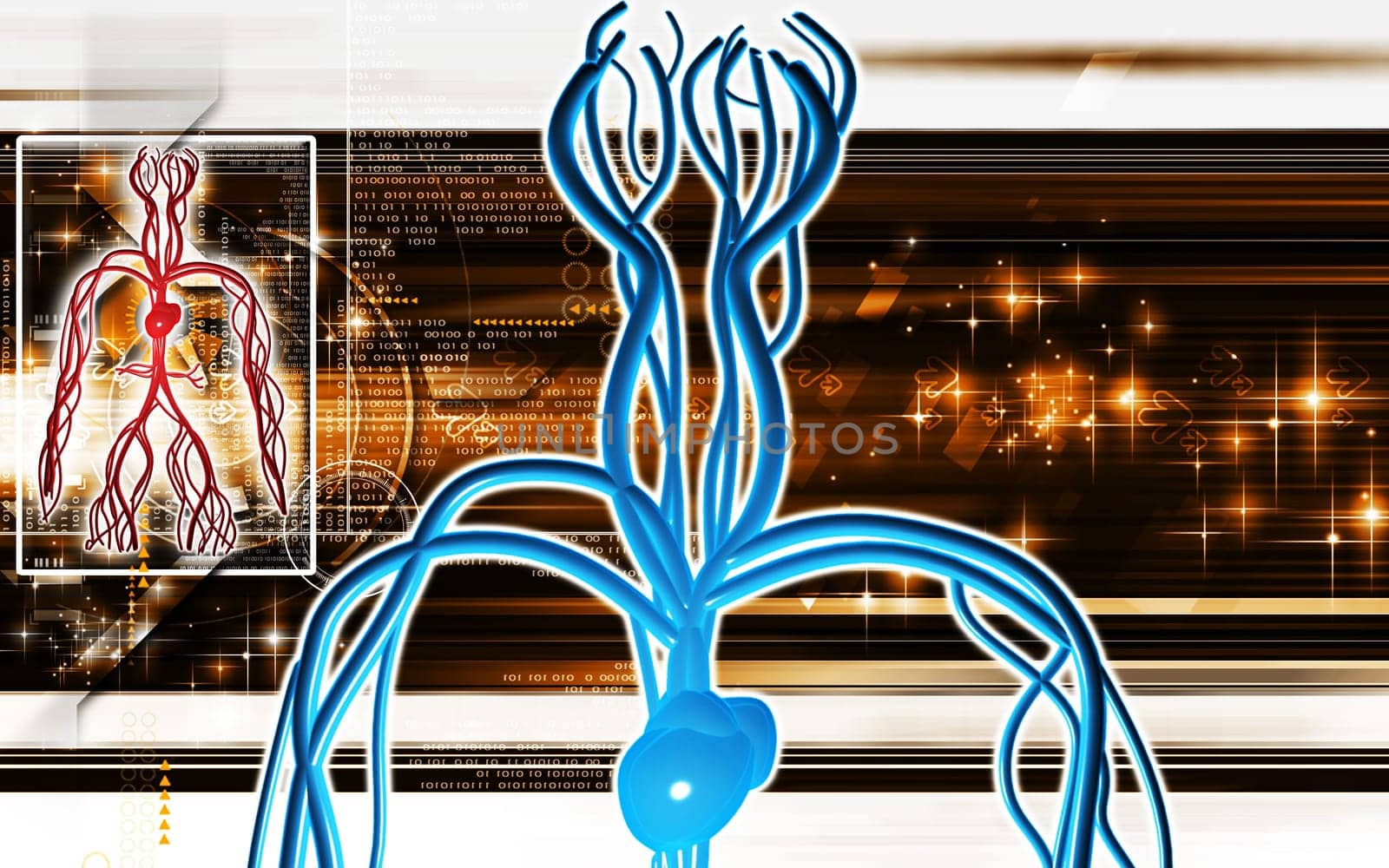 Digital illustration of vascular system in colour background