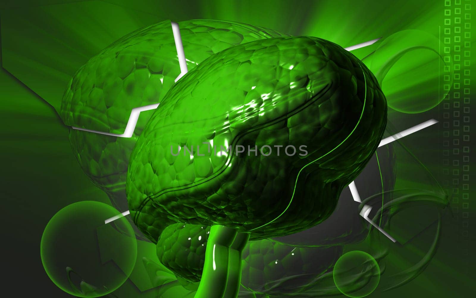 Digital illustration of brain in colour background