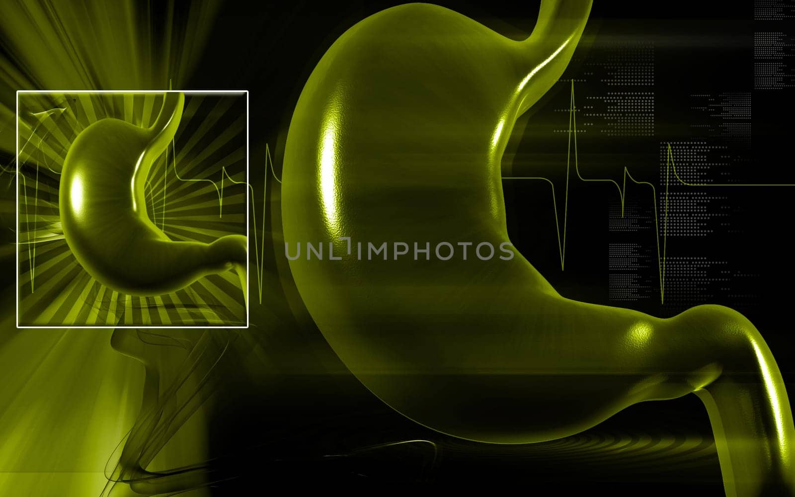 Digital illustration of stomach in colour background
