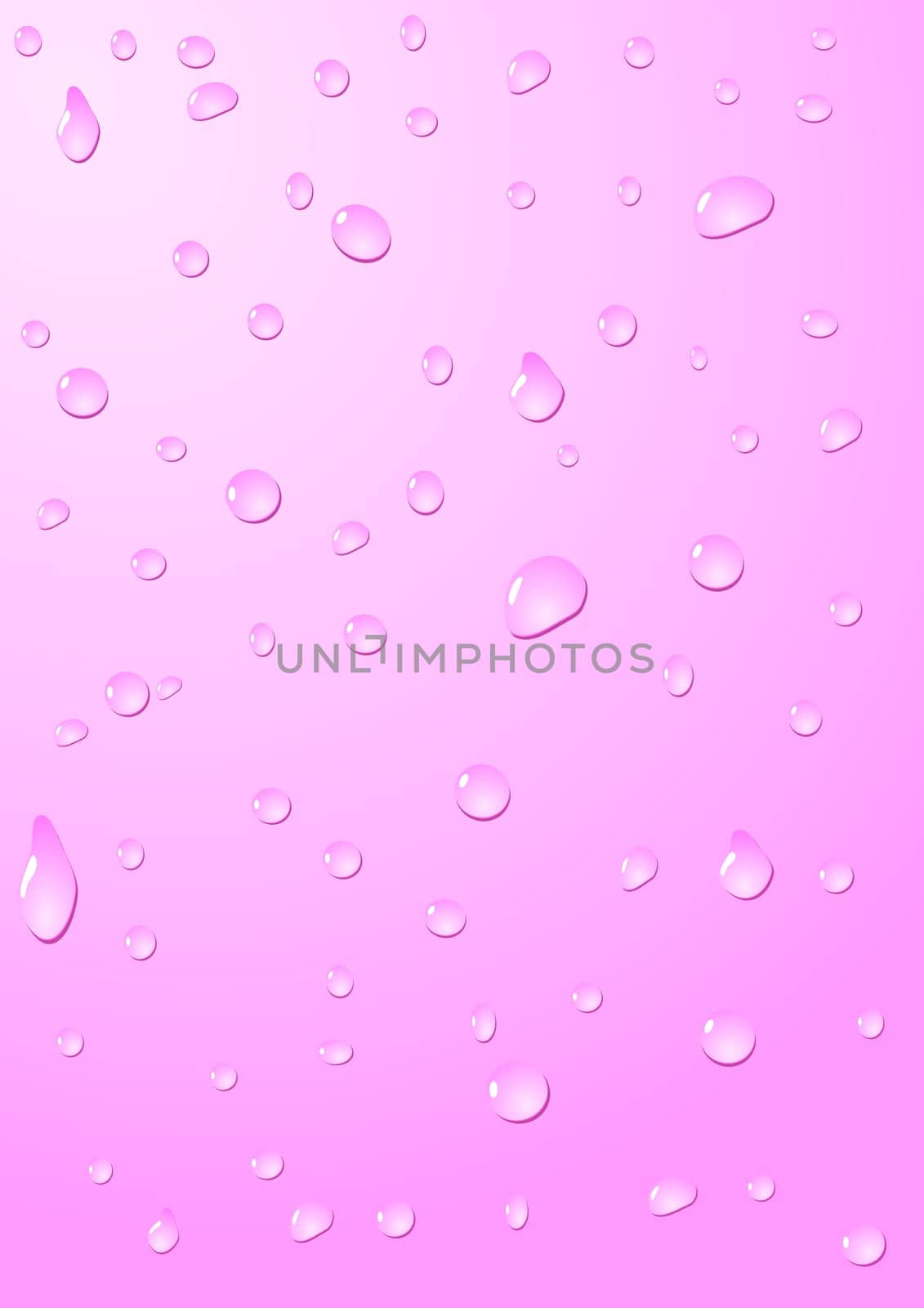 Drops of water on a pink background