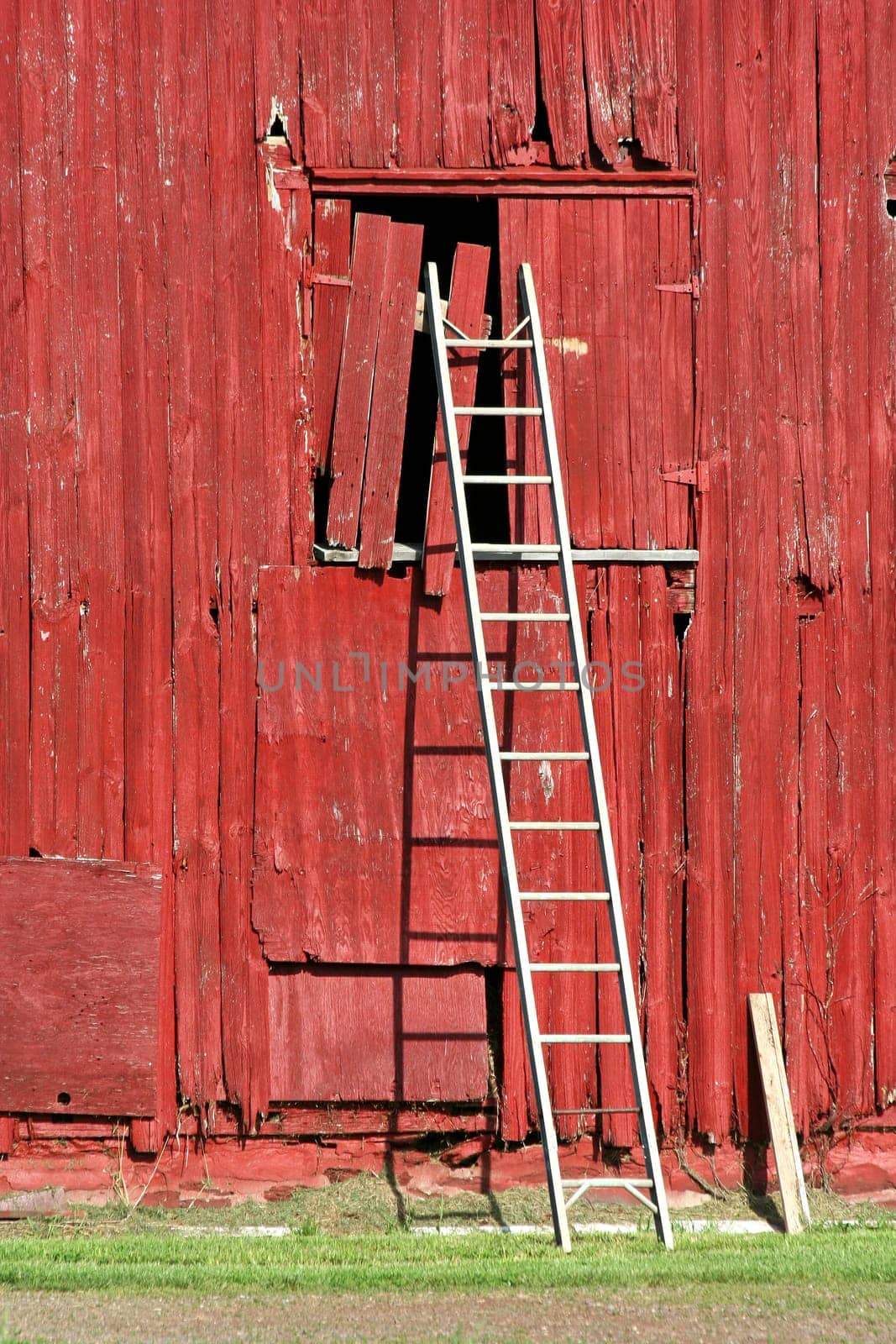 A ladder on a old red bard