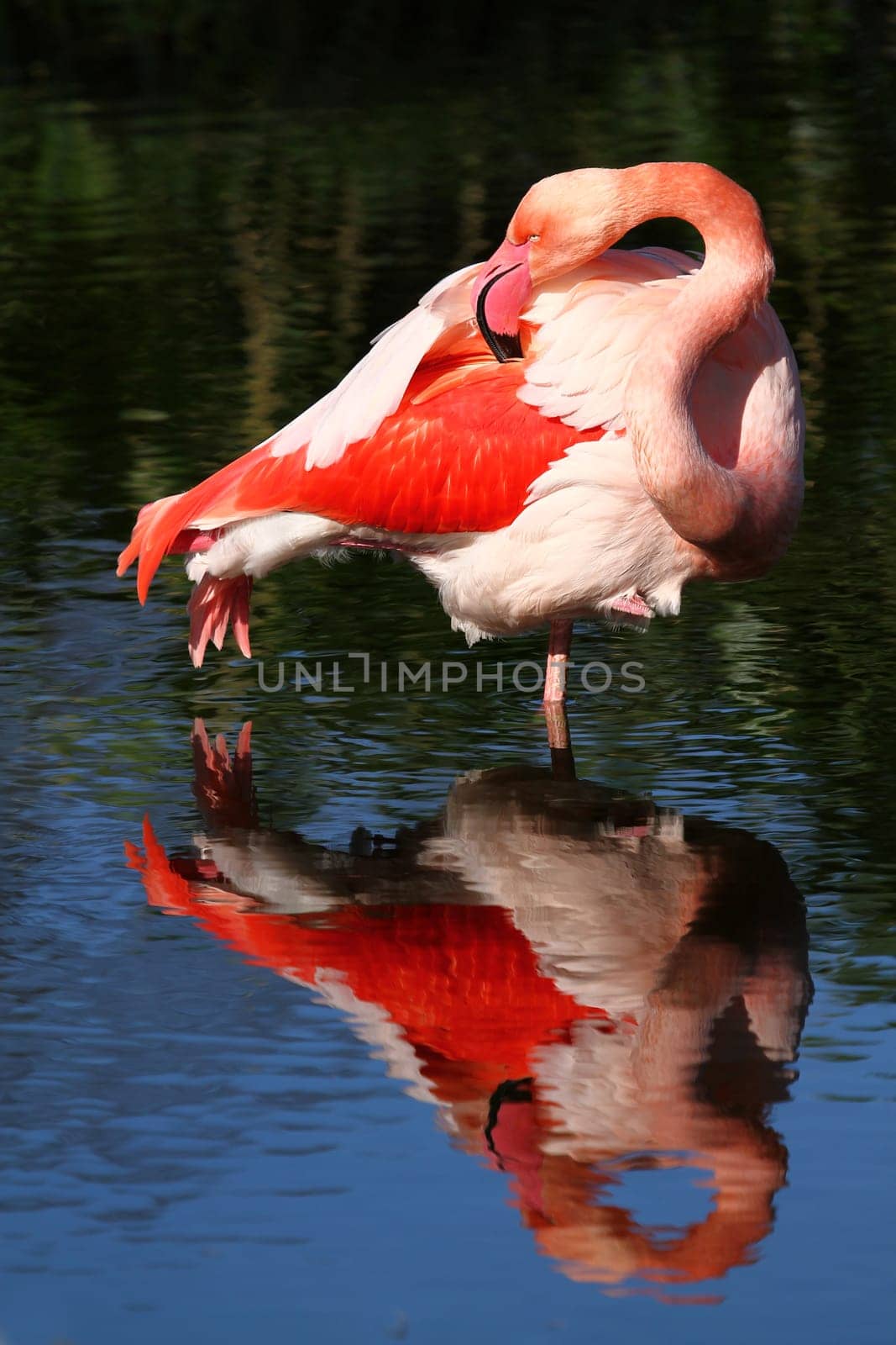 Colours of nature