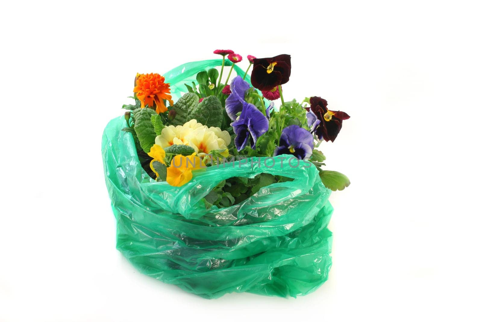 a bag with various balcony plants