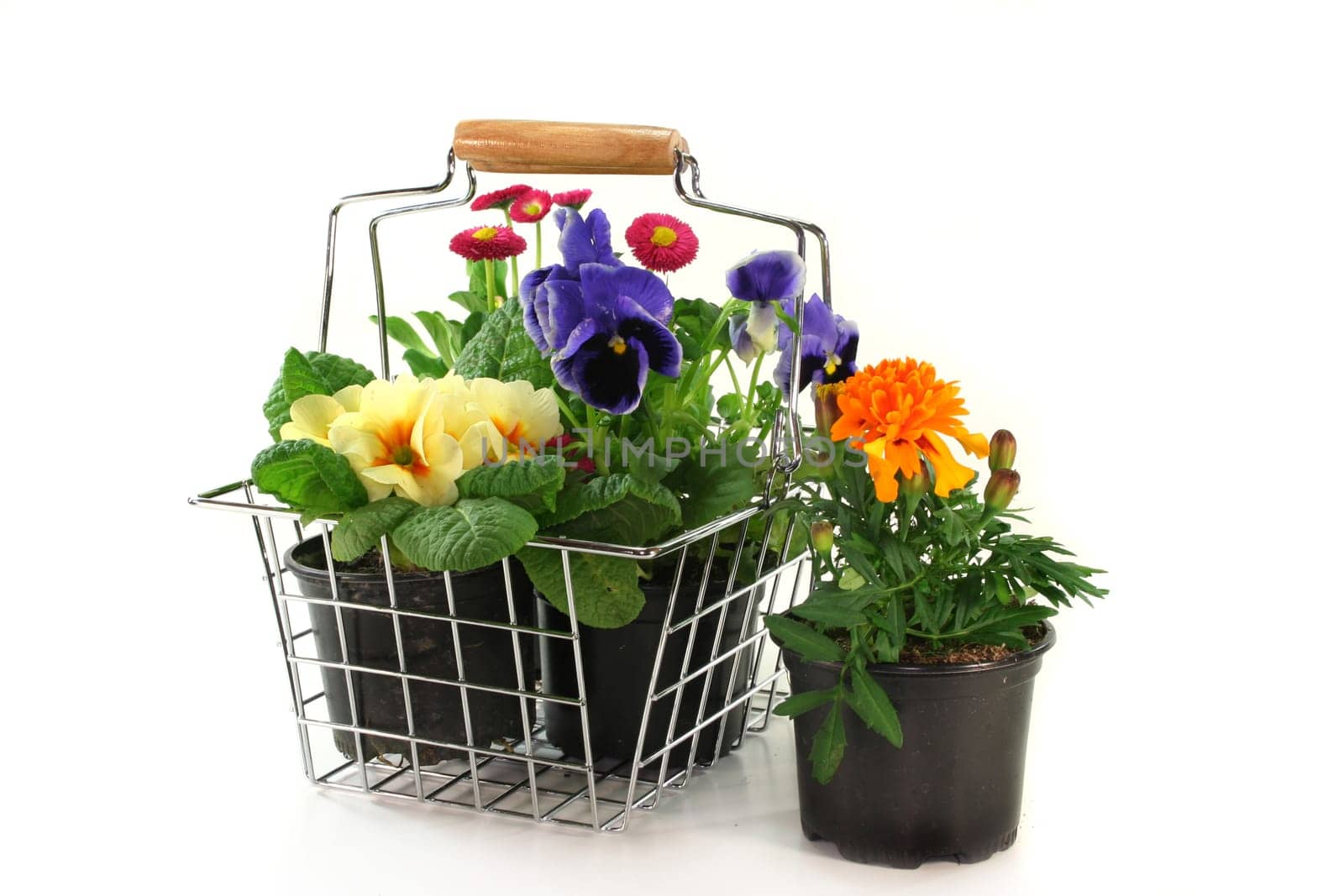 a shopping basket with various balcony plants