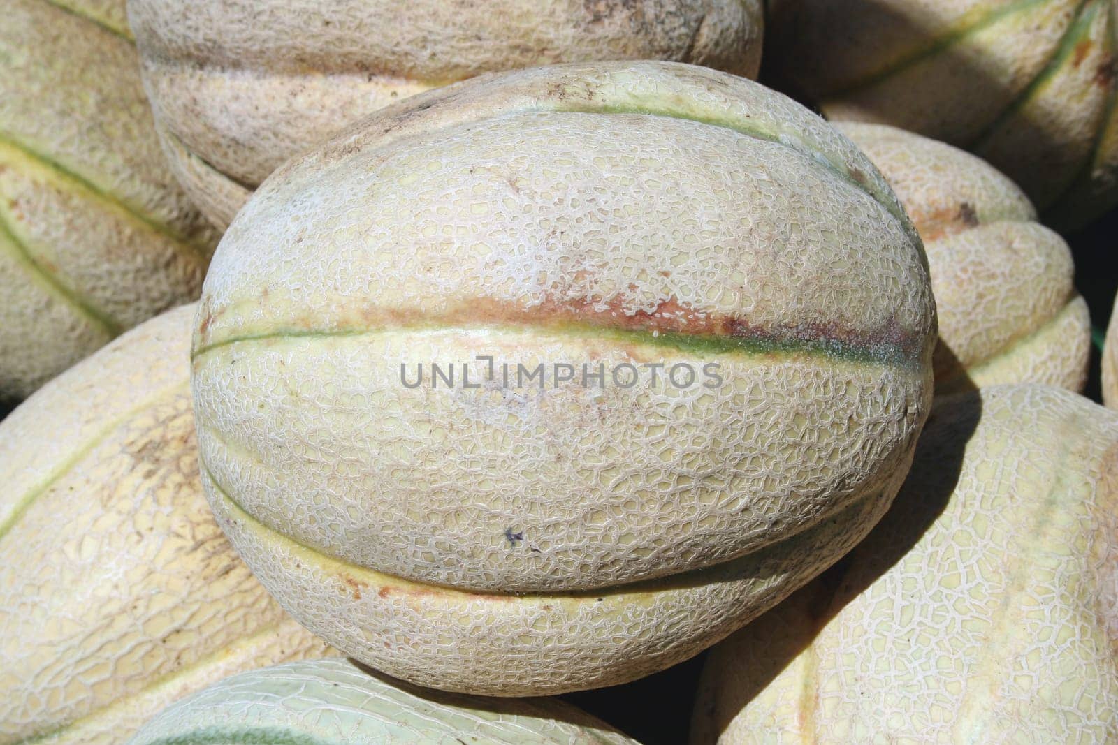 a bunch of Melones at the market