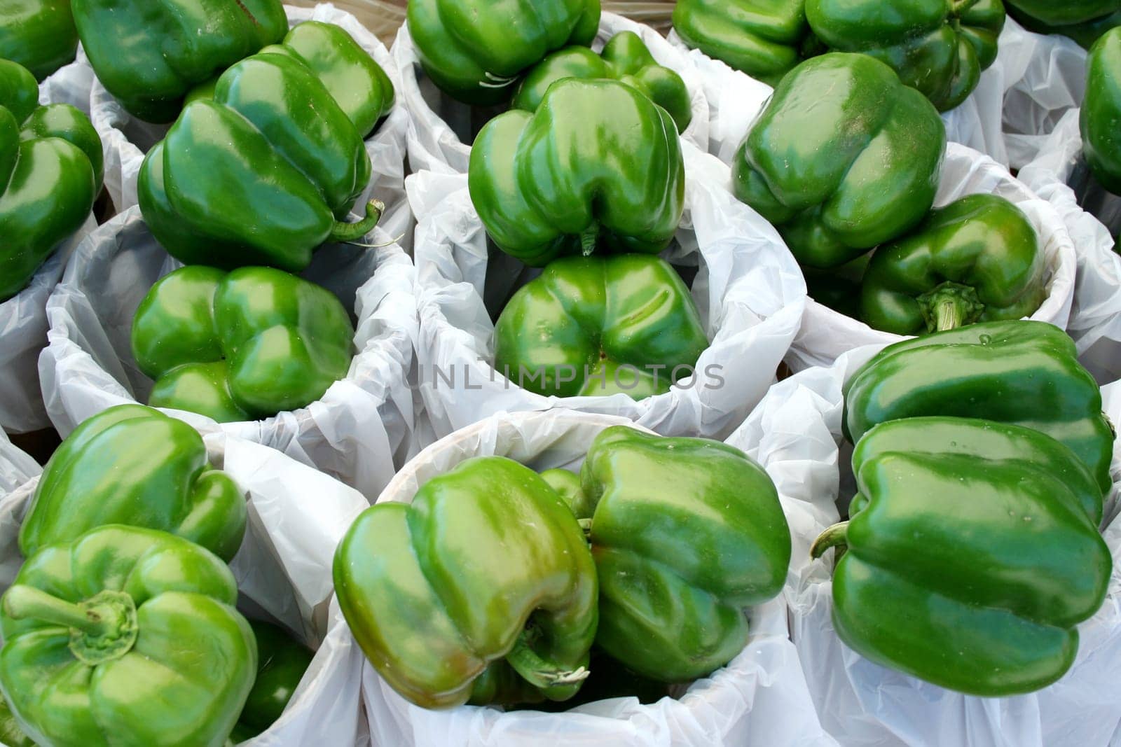 Bunches of Green Bell Peppers for sale at the market