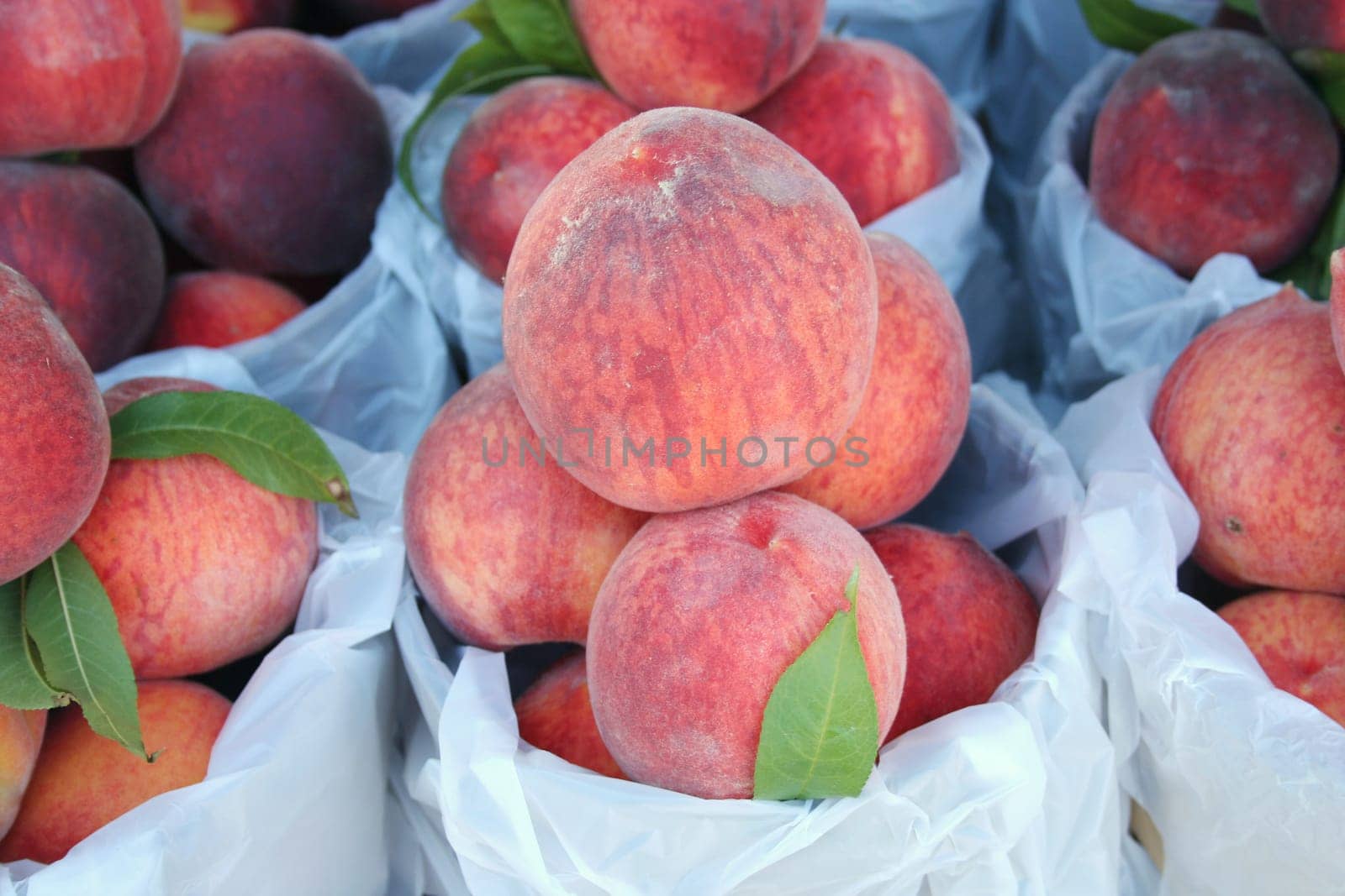 a cunch of peaches for sale at the market