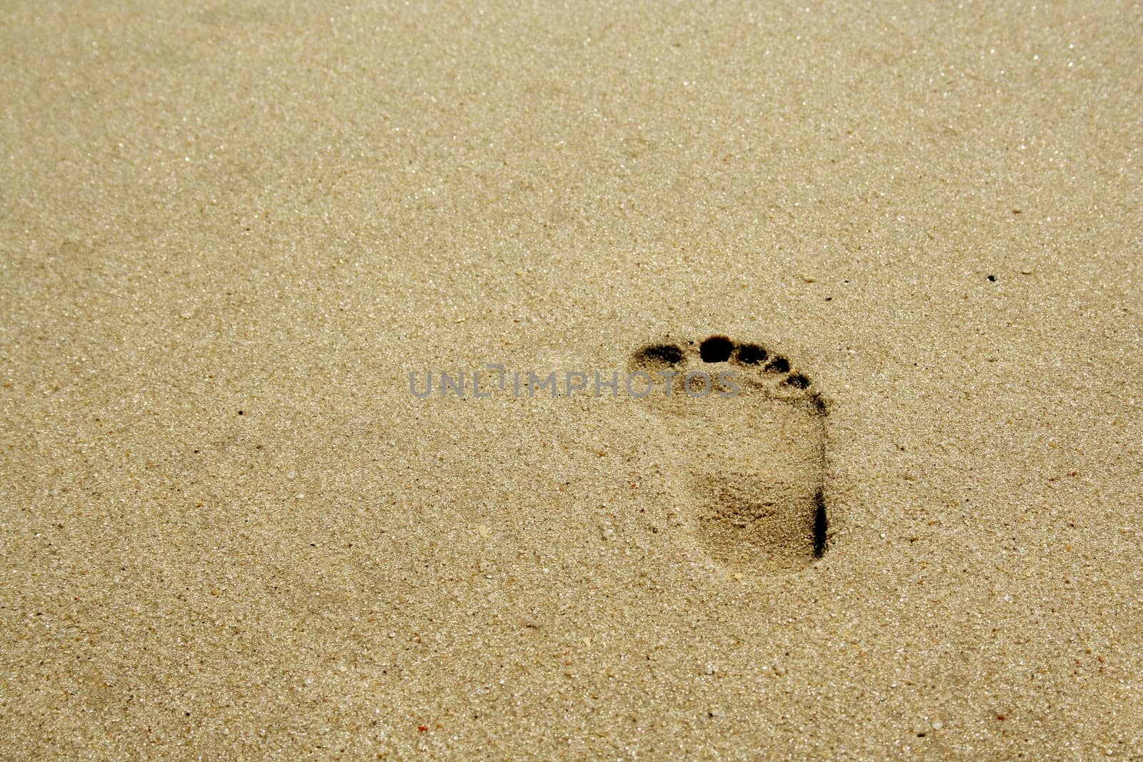 a isolated Footprint on the beach
