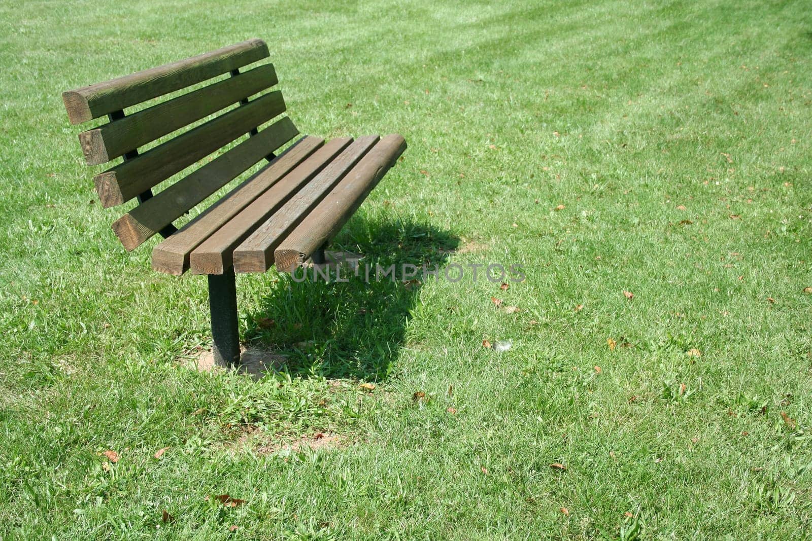Wooden Park Bench in a field of grass