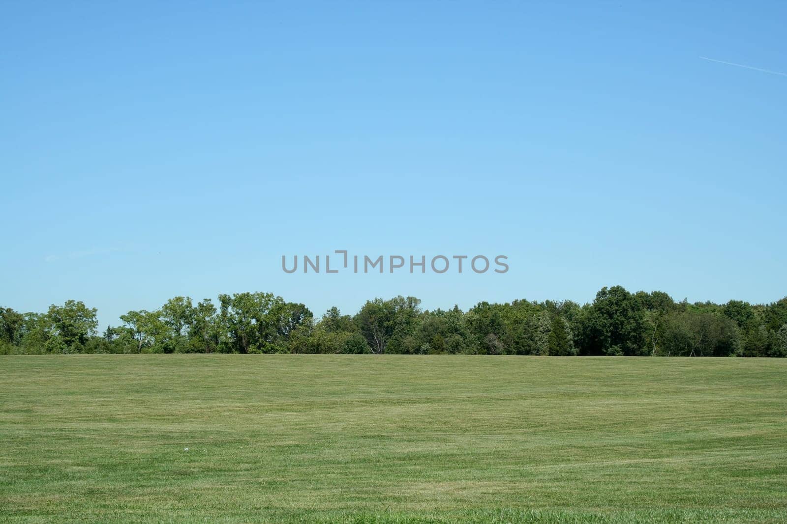 A Field with blue sky and trees