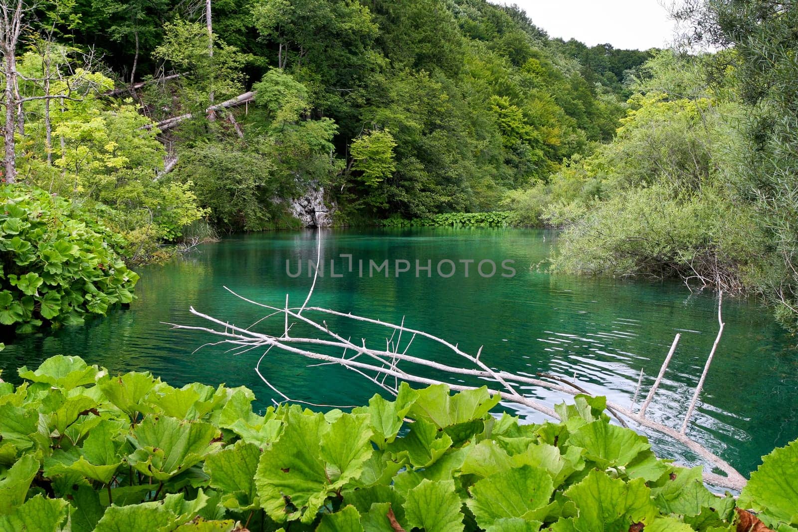 a beautiful wild lake with turquoise water