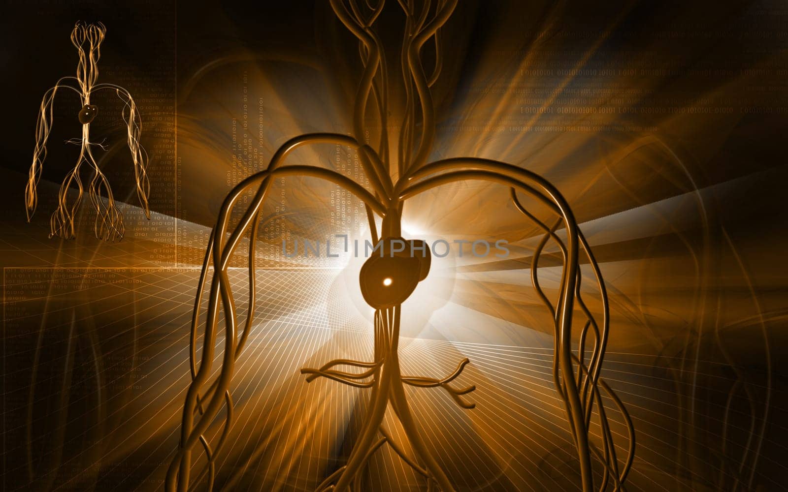 Digital illustration of vascular system in colour background
