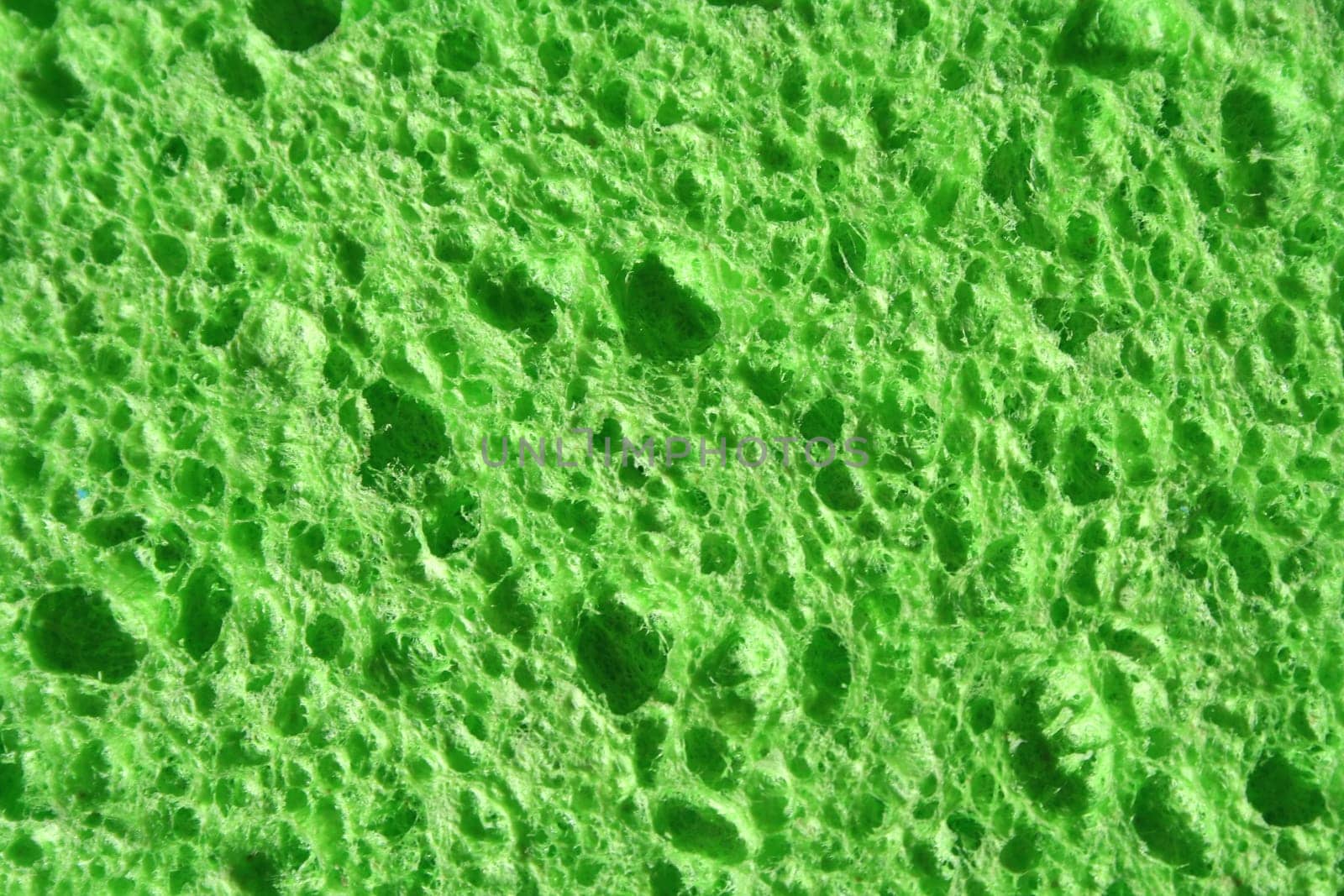 A close up Green Sponge abstract background