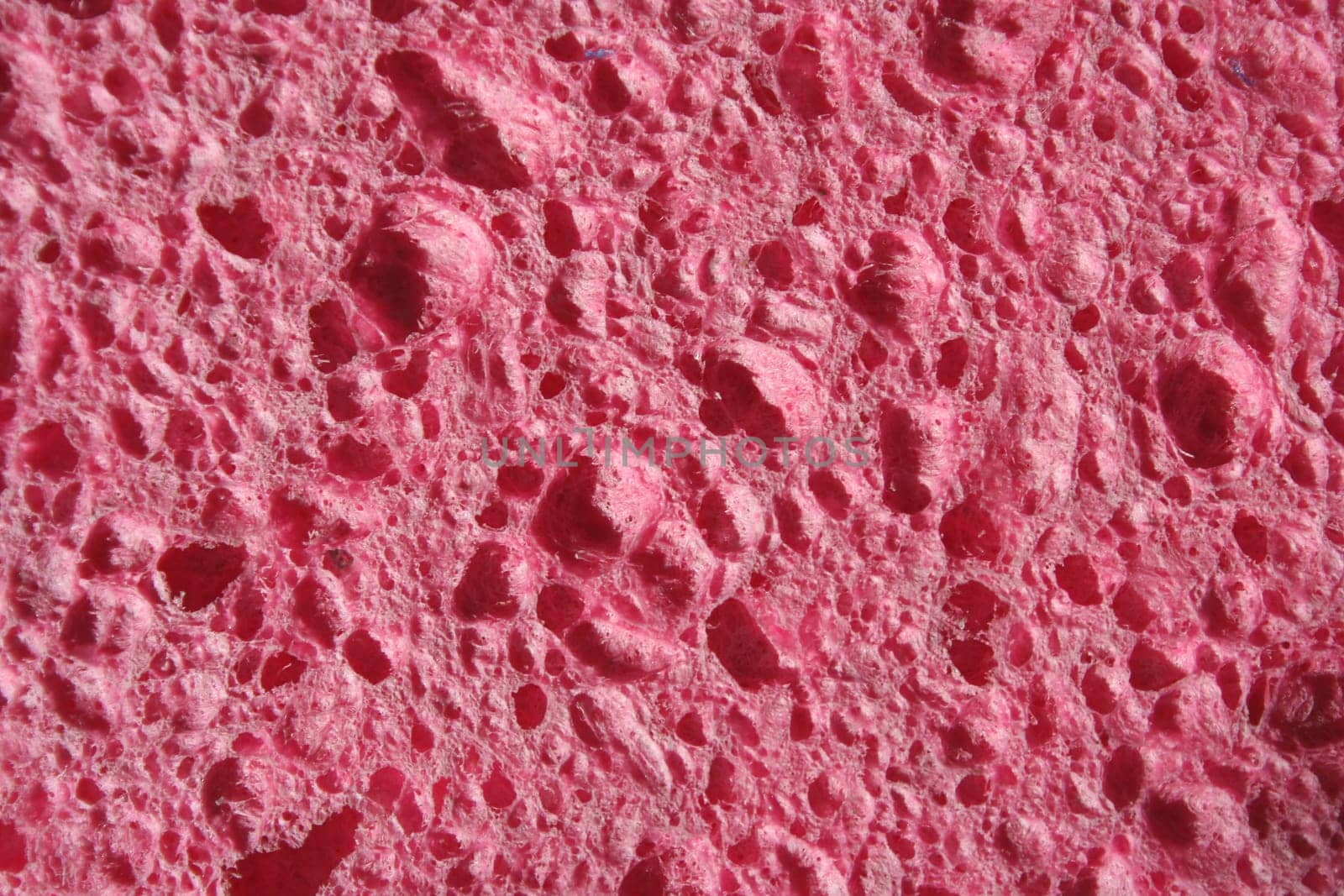 A close up pink Sponge abstract background