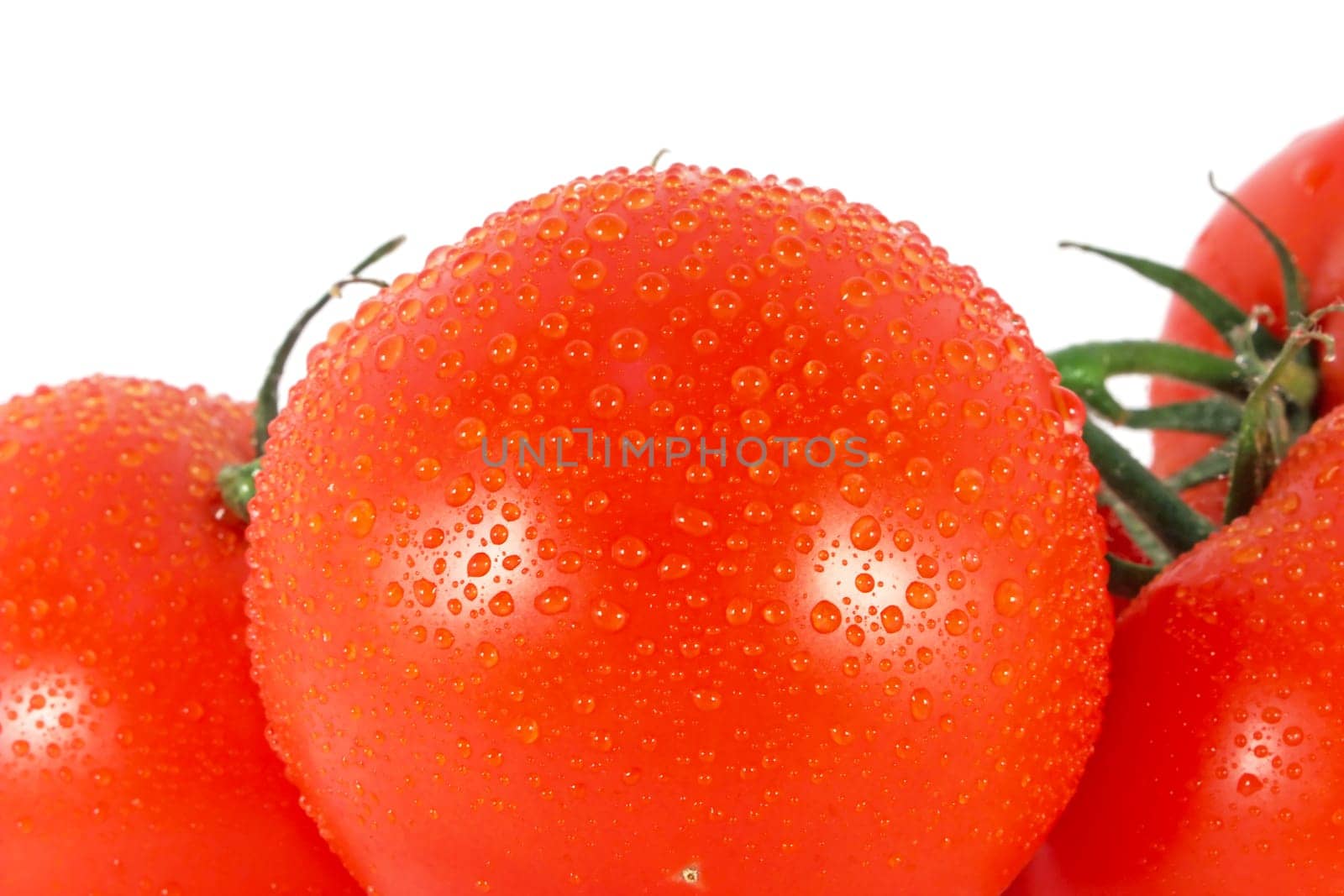 Red tomatoes on the branch isolated on white