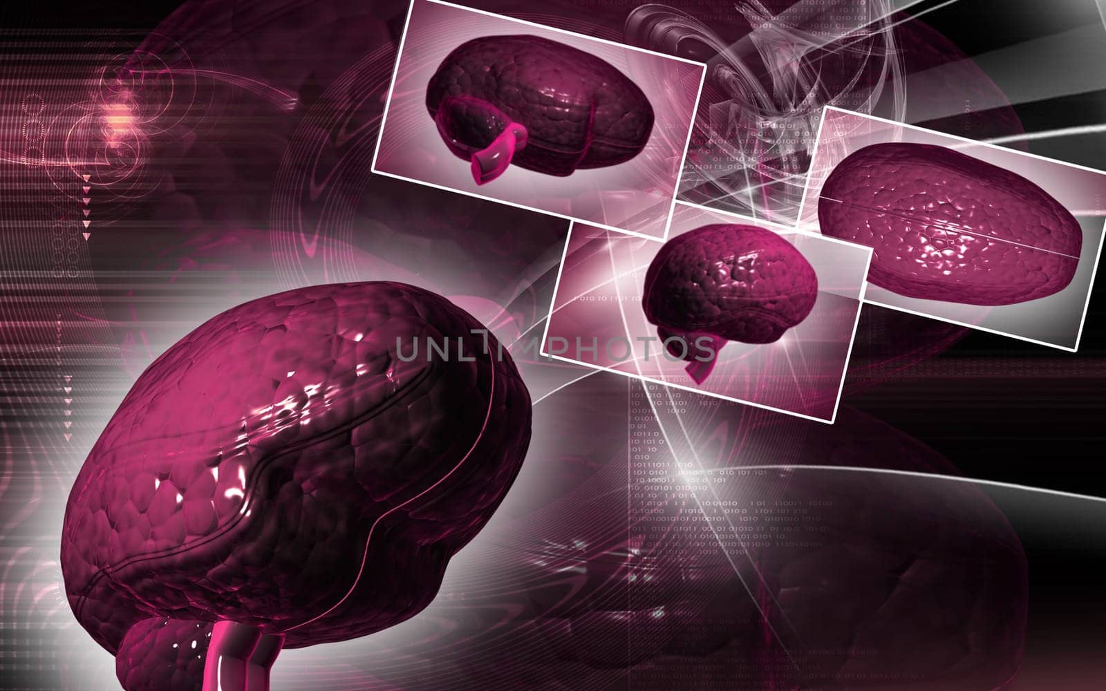 Digital illustration of brain in colour background