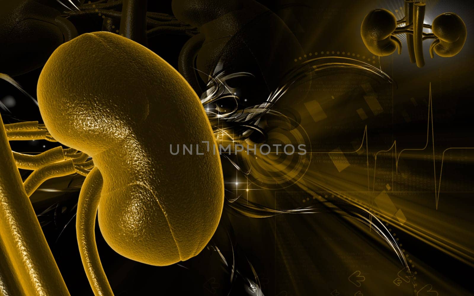 Digital illustration of kidney in colour background