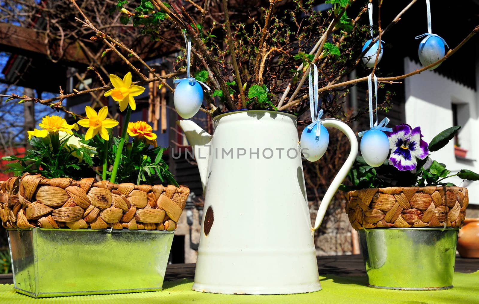 Garden Decoration Easter Spring Plants