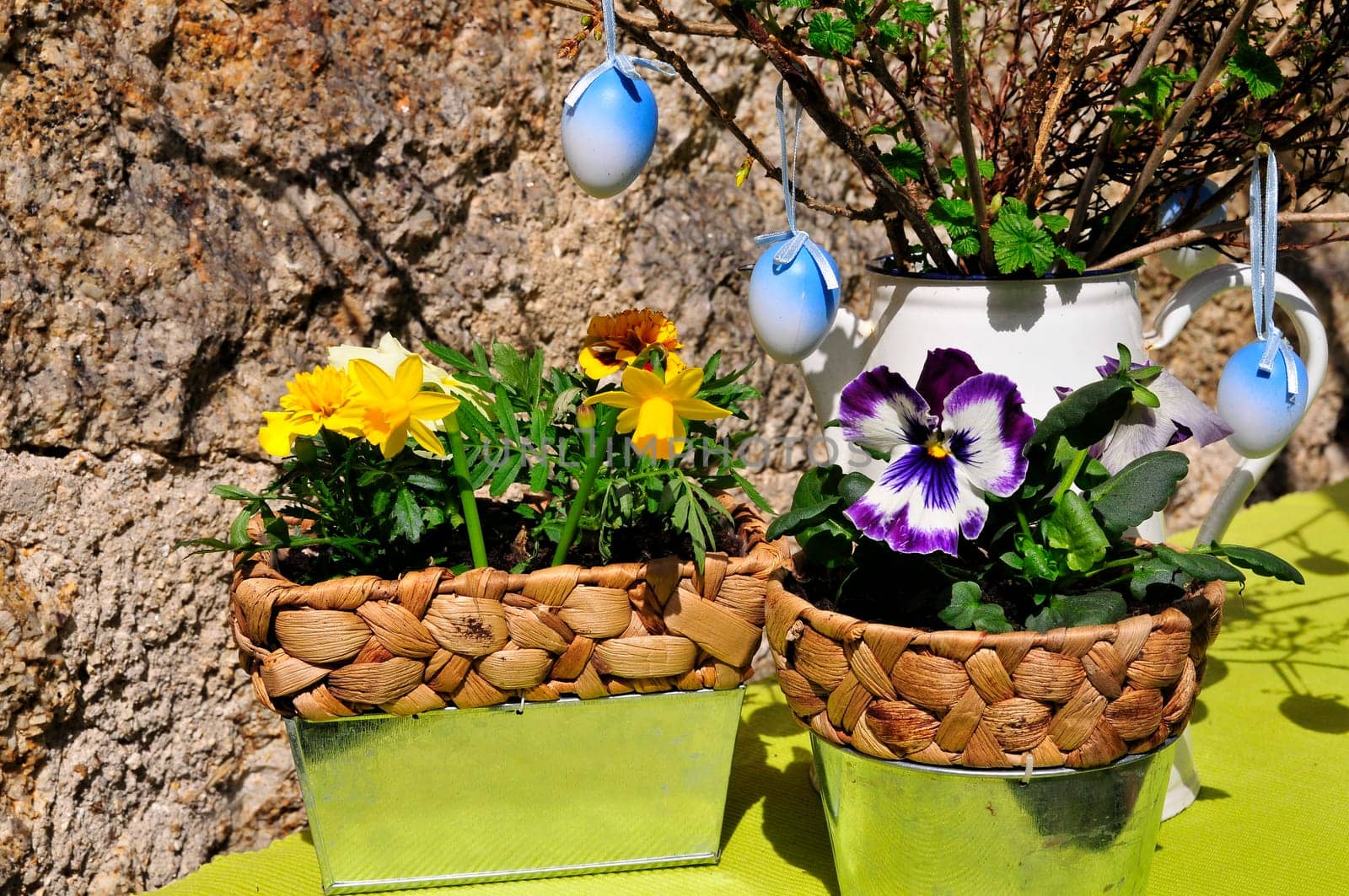 Garden Decoration Easter Spring Plants
