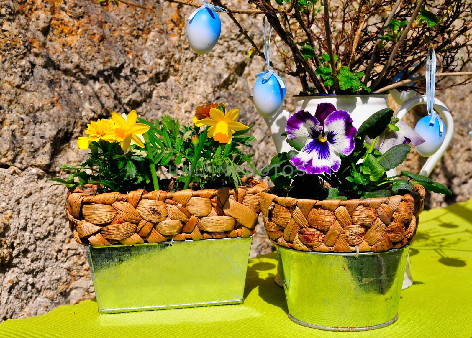 Garden Decoration Easter Spring Plants