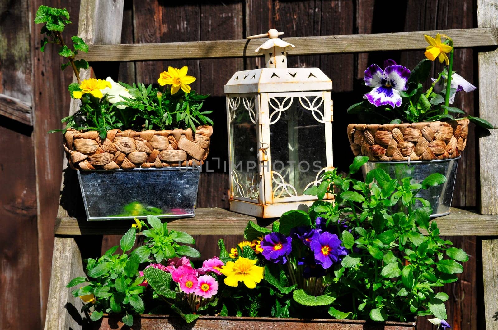 Garden Decoration Easter Spring Plants