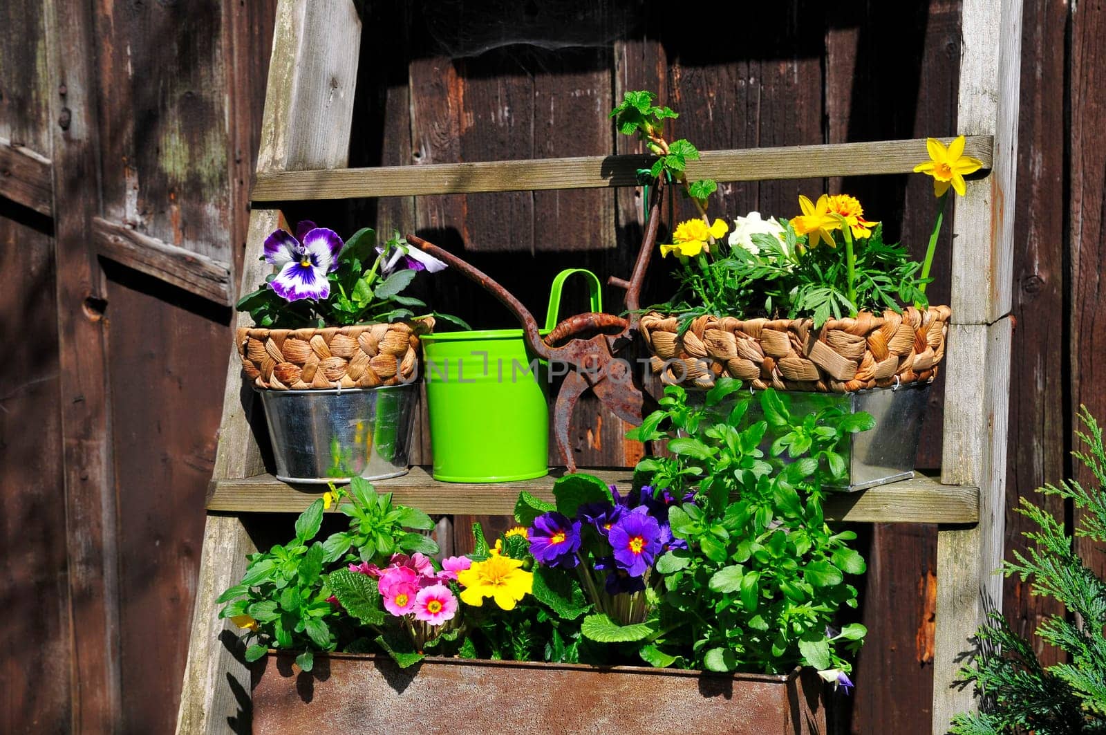 Garden Decoration Easter Spring Plants