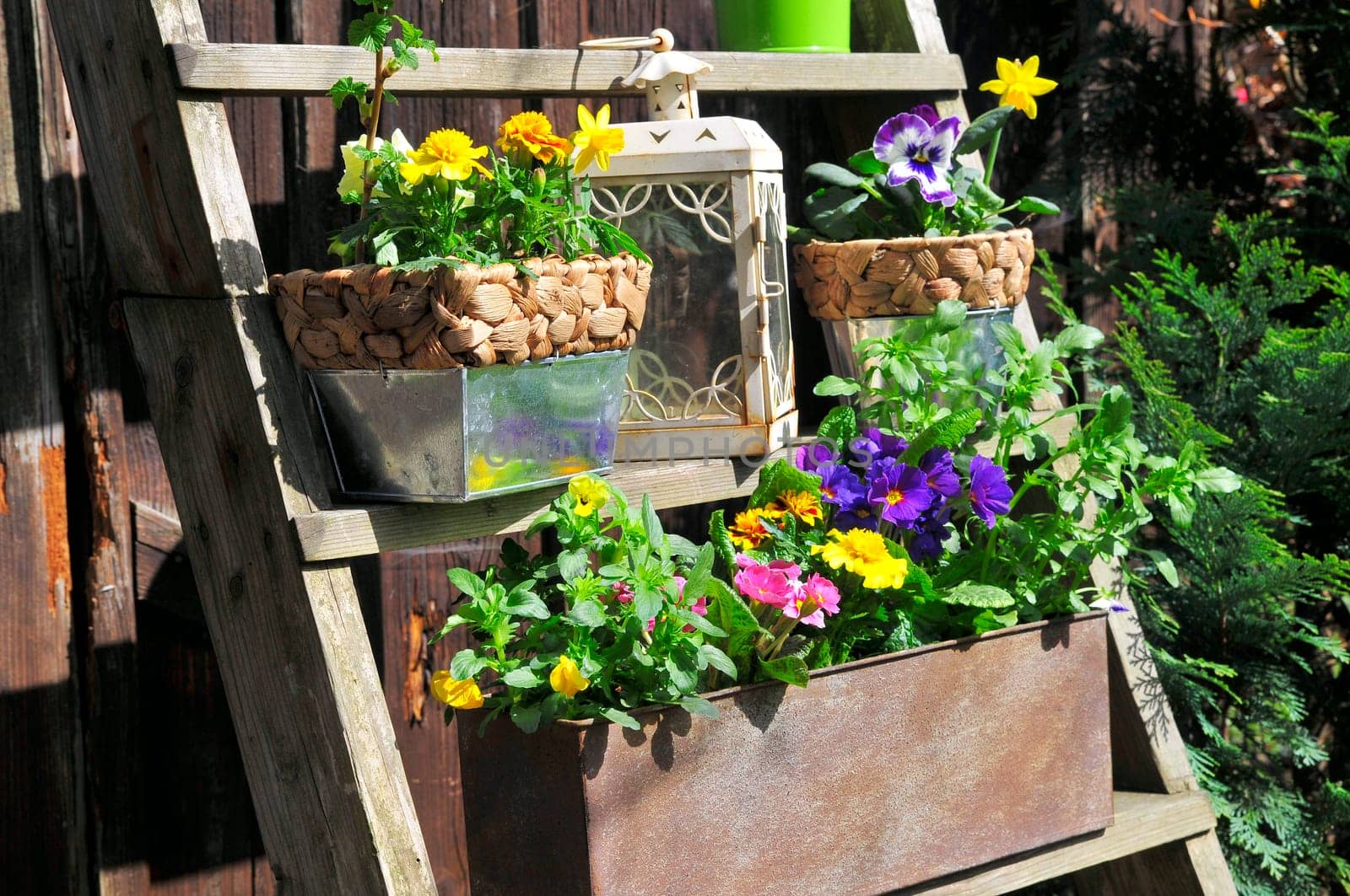Garden Decoration Easter Spring Plants