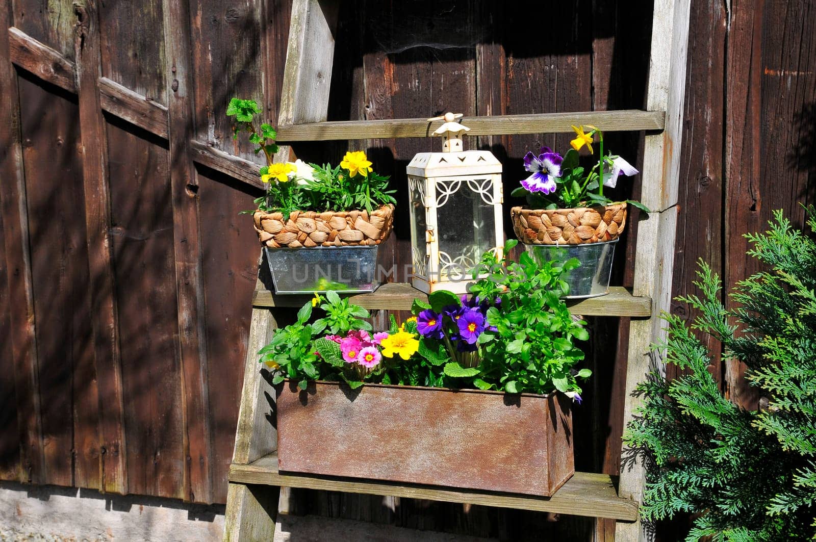 Garden Decoration Easter Spring Plants
