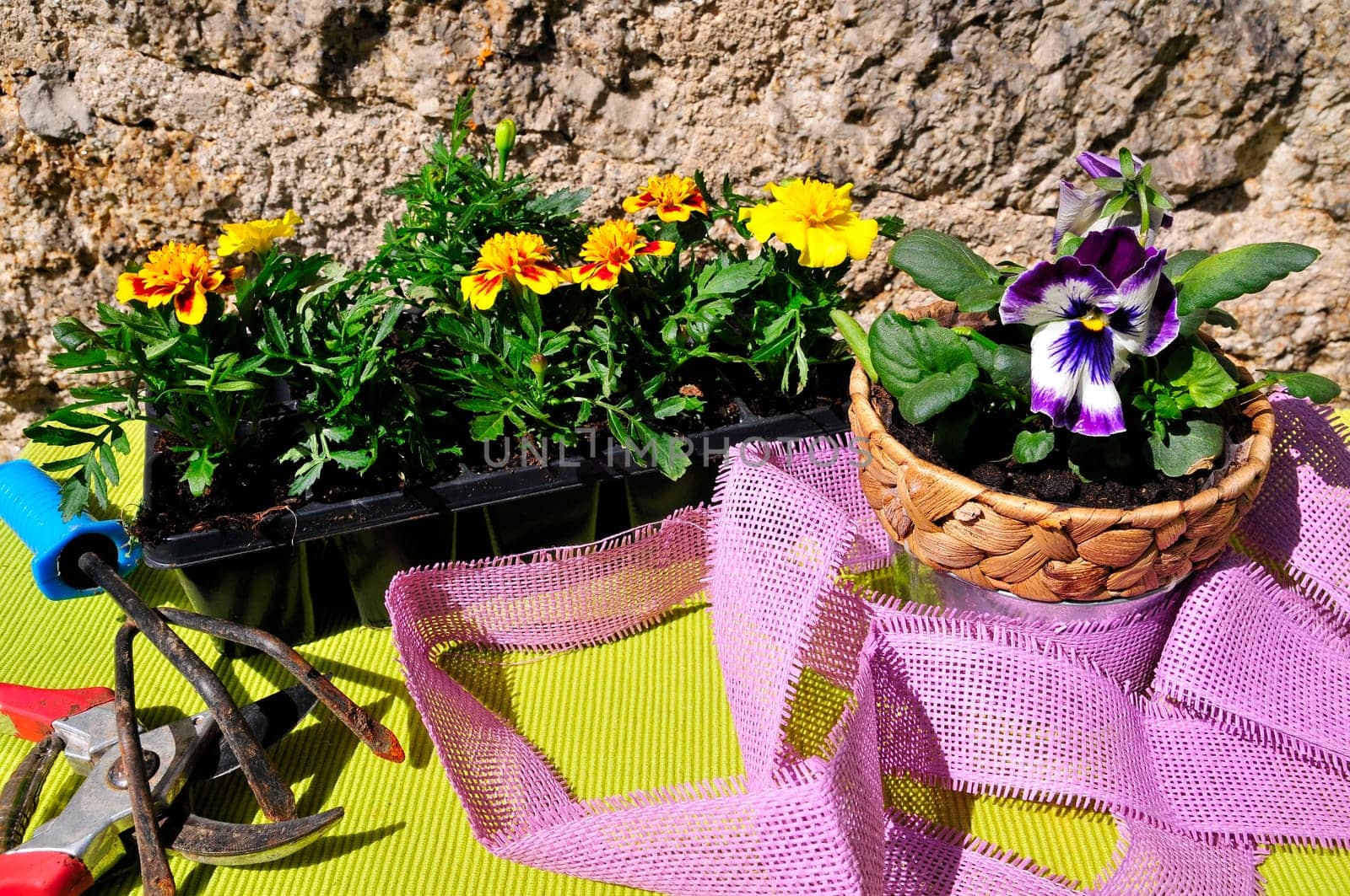 Garden Decoration Easter Spring Plants