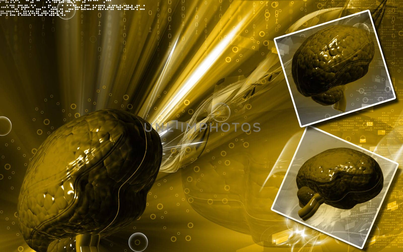Digital illustration of brain in colour background