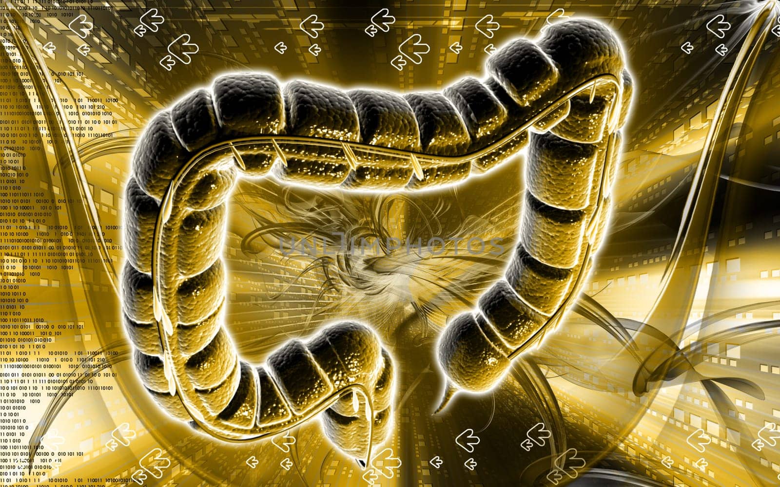 Digital illustration of large intestine in colour background